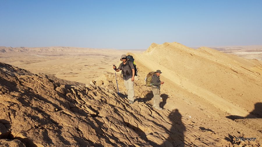 הליכה על המצלעות